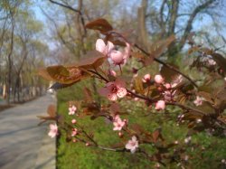 IMG_0877.JPG