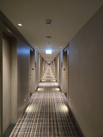 20250604_174135.jpg