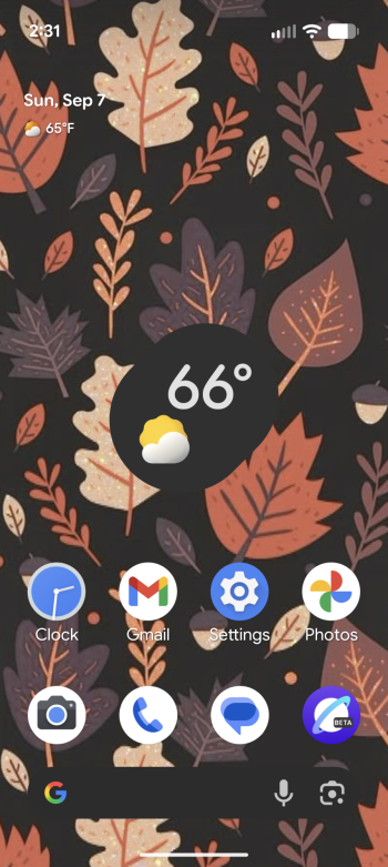 Screenshot_20250907-143105.png