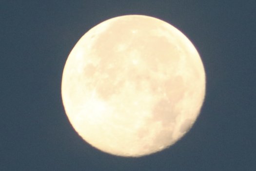 IMG_3449.jpeg