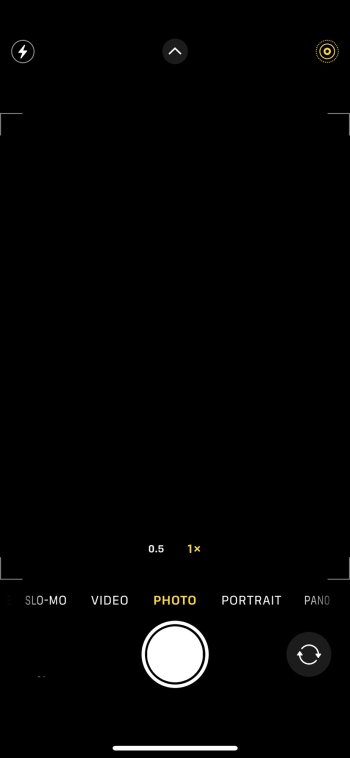 IMG_2542.jpeg