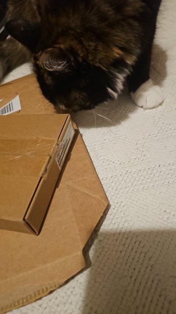 IMG-20250919-WA0060.jpeg