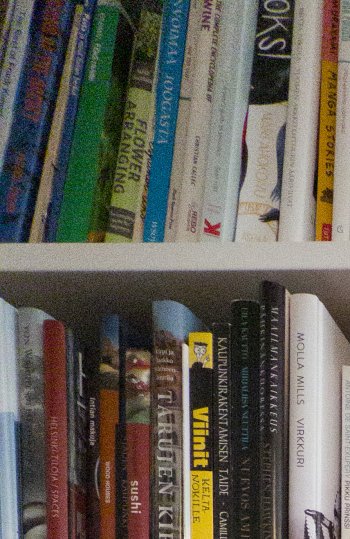 0.5x - 17Pro - Halide - RAW 12MP.jpg