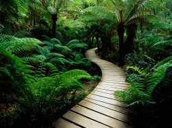 Nature_b_1600.jpg