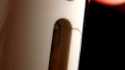 DSC02506.JPG