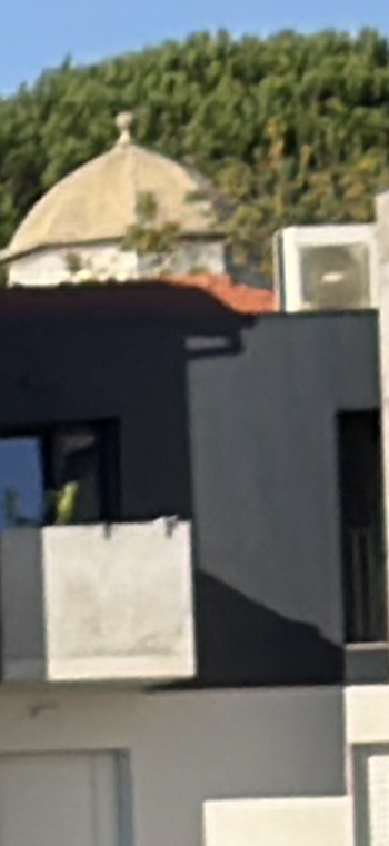 IMG_0038.png