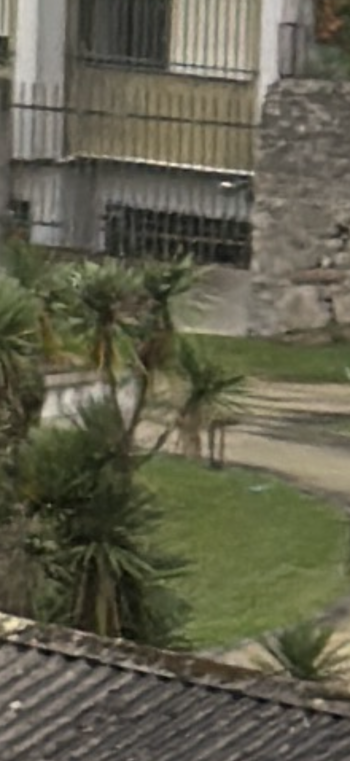 IMG_0105.png