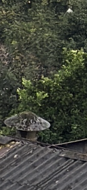 IMG_0524.png