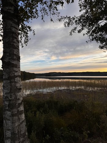 IMG_0110.jpeg
