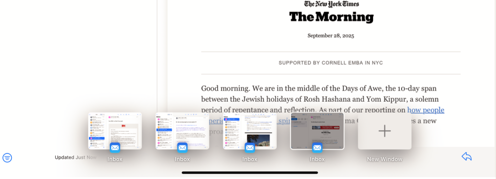 Mail Cluttered with Clippings .png