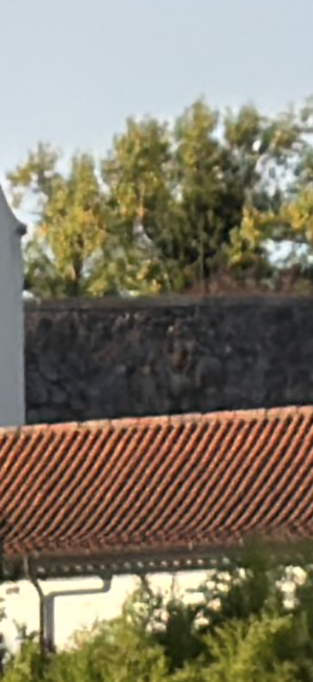 IMG_0061.png