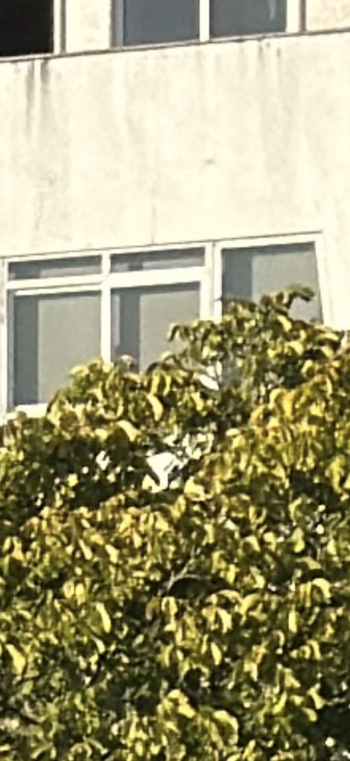 IMG_0559.png