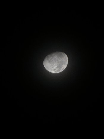 IMG_4640.jpeg