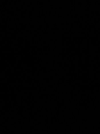 IMG_9124.jpeg