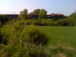 IMG_0107.JPG