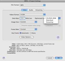 mp4 export QT.png