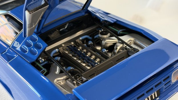 IMG_9946.jpeg IMG_9946.jpeg