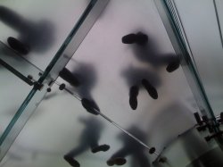 IMG_0206.JPG