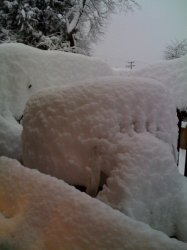 snow.jpg