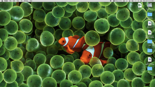 Screenshot 2026-01-05 at 2.11.12 AM.png