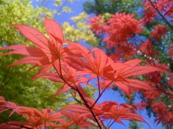 IMG_0598.JPG