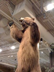 IMG_0308.jpg