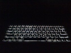 IMG_0445.JPG