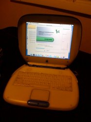 clamshell.jpg