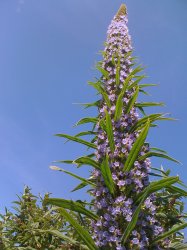 IMG_0695.jpg