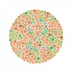 Ishihara.jpg
