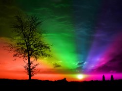 Sunset_rainbow_by_msaric10.jpg