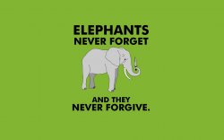 elephants.jpg