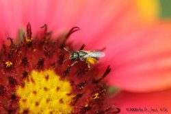 IMG_0843.jpg