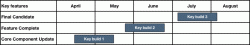 snowleopardroadmap-090331.gif