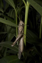 DSC_0113000.jpg