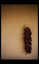IMG_1049b.jpg