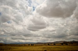 IMG_4752.jpg