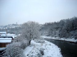 Frosty.jpg