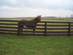three chimneys farm.jpg