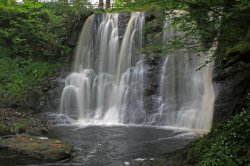 2009 05  111.jpg