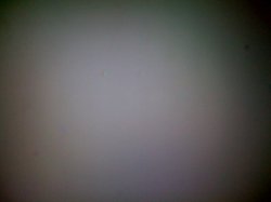 Screen Issue.jpg