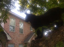 tilly house.JPG