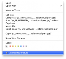 Screen shot 2009-07-15 at 5.37.07 PM.png
