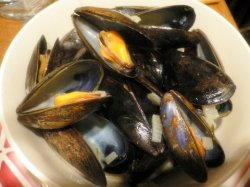 mussels_1.jpg