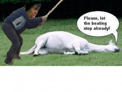 deadhorse2.jpg