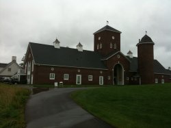IMG_0389.JPG