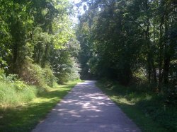 IMG_1137.jpg