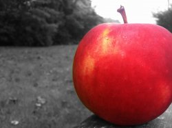 IMG_0141.JPG