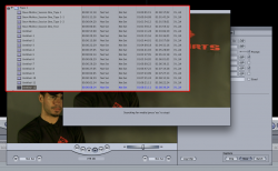 multiple_clips2.png