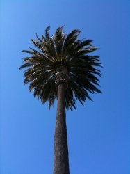 IMG_0829.JPG